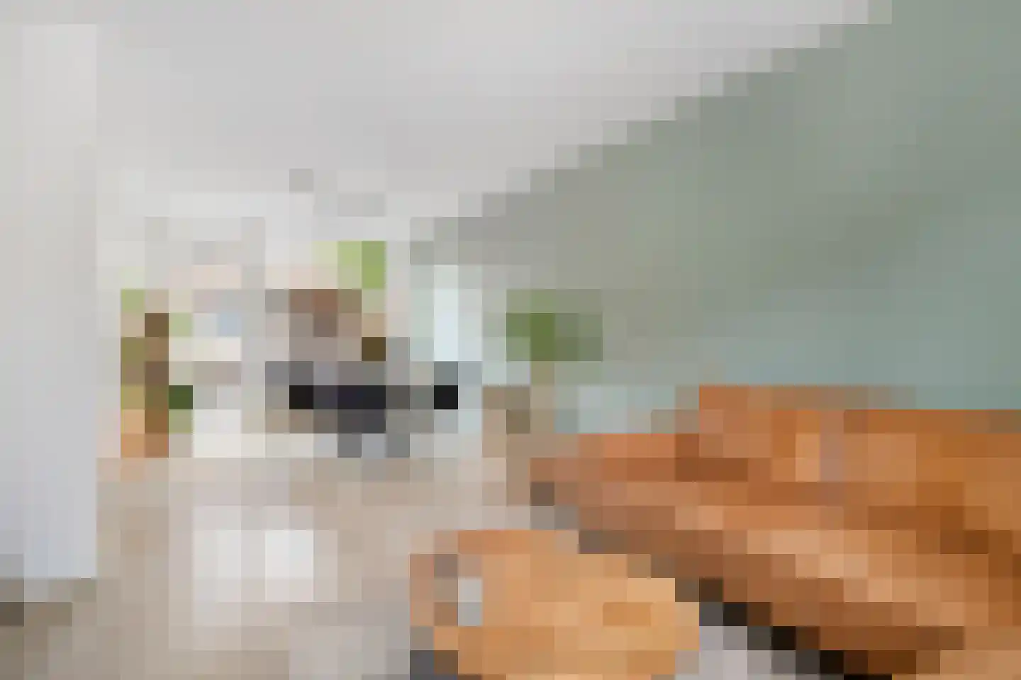 Rochussenlaan 13 Etten-Leur thumbnail 13