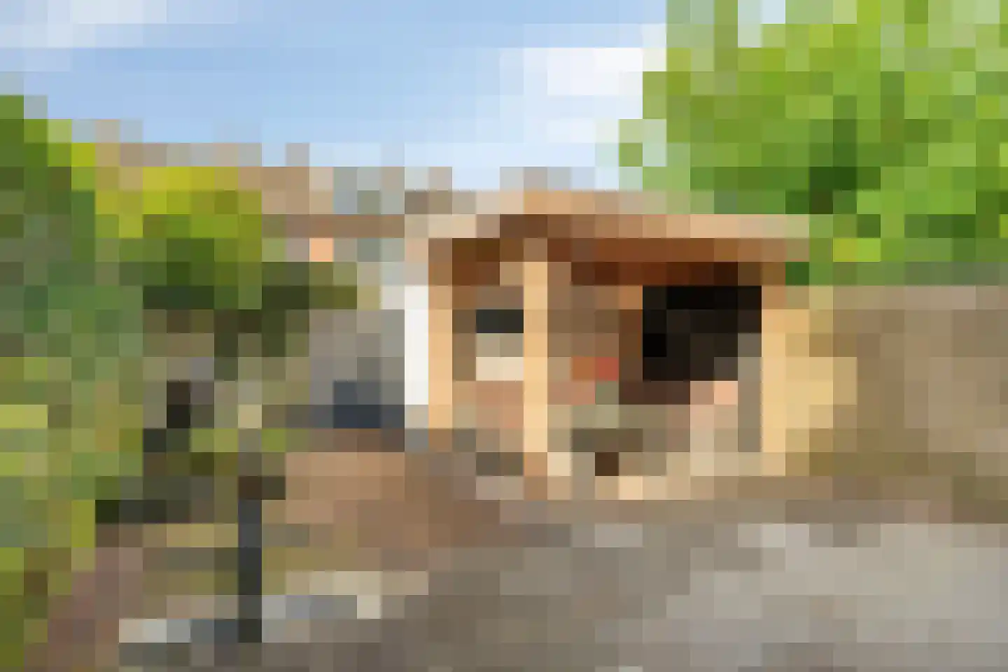 Rochussenlaan 13 Etten-Leur thumbnail 34