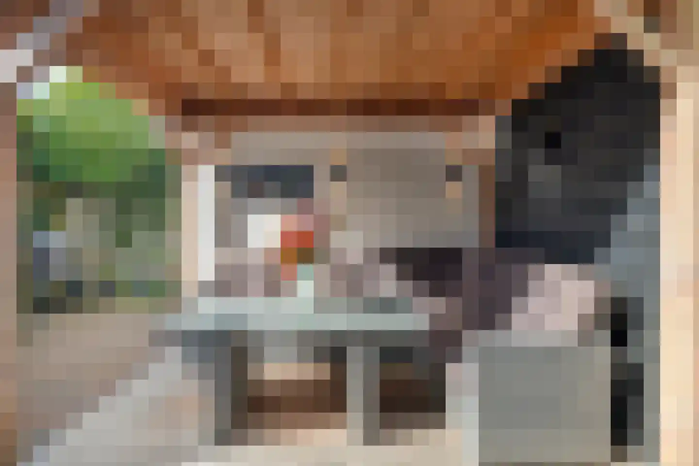 Rochussenlaan 13 Etten-Leur thumbnail 36