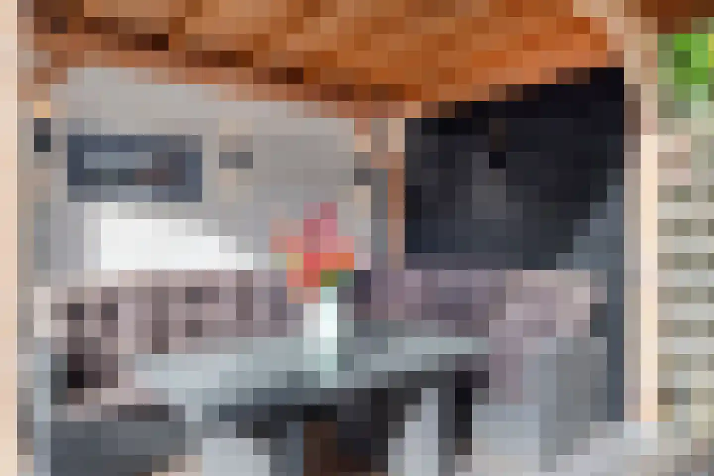 Rochussenlaan 13 Etten-Leur thumbnail 37