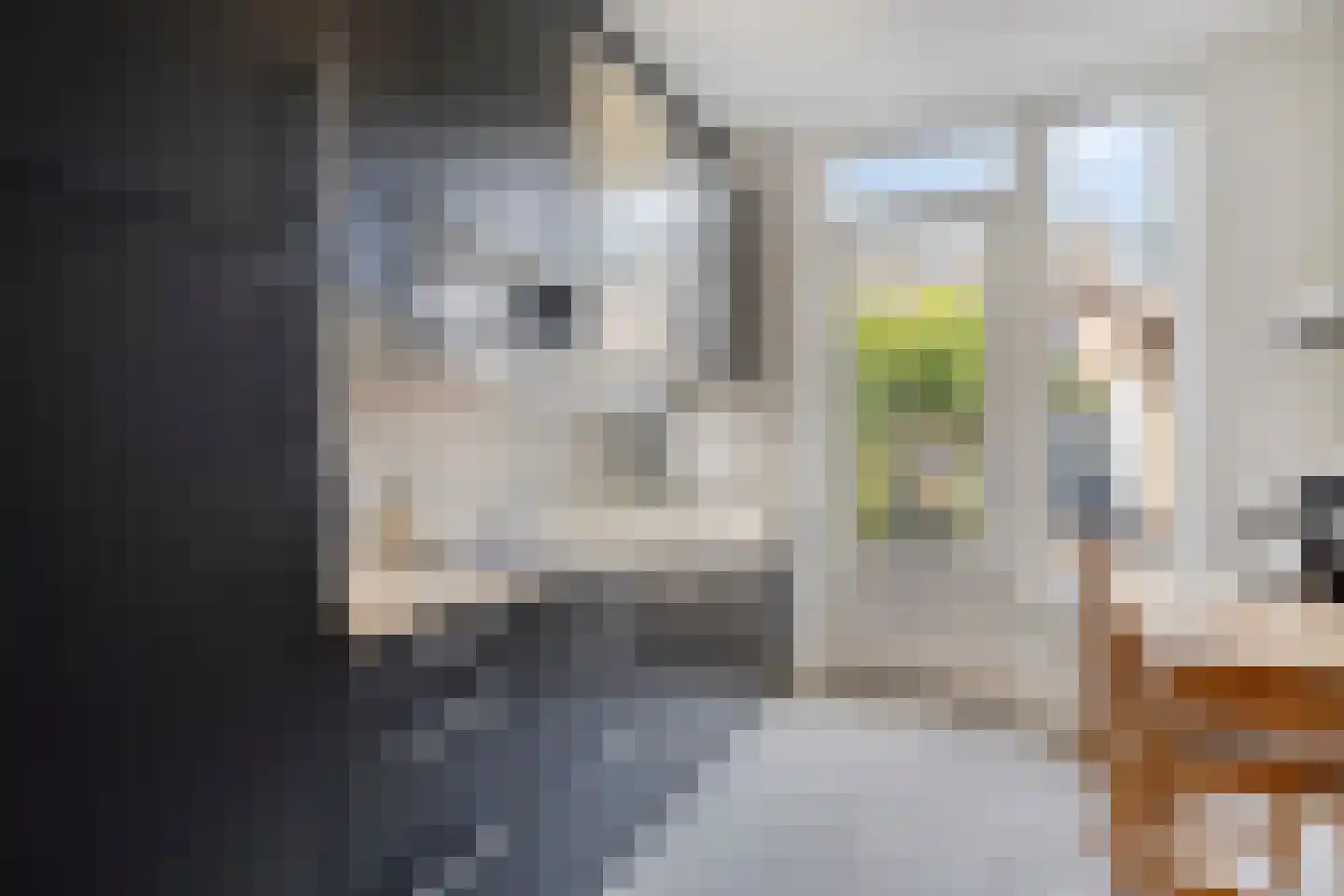 Rochussenlaan 13 Etten-Leur thumbnail 4