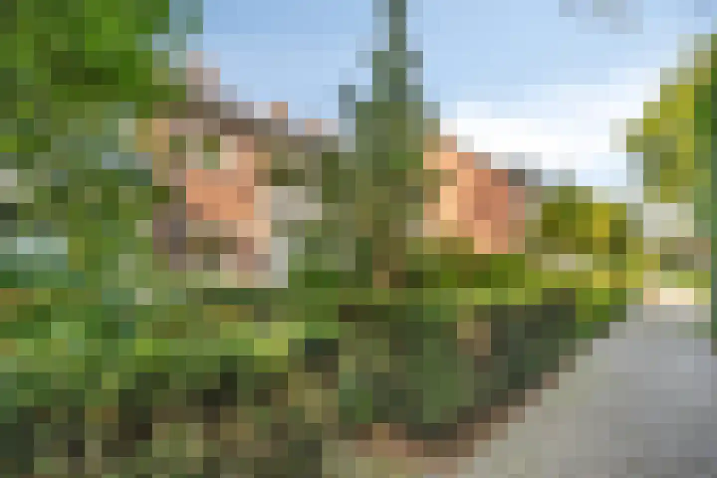 Rochussenlaan 13 Etten-Leur thumbnail 46