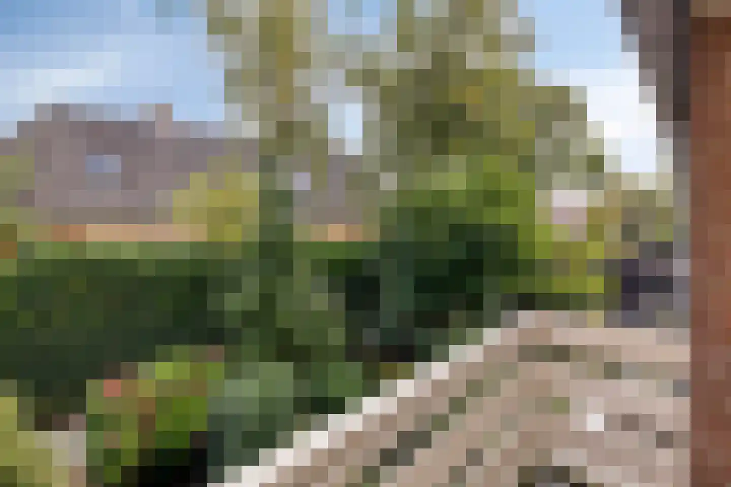 Rochussenlaan 13 Etten-Leur thumbnail 48