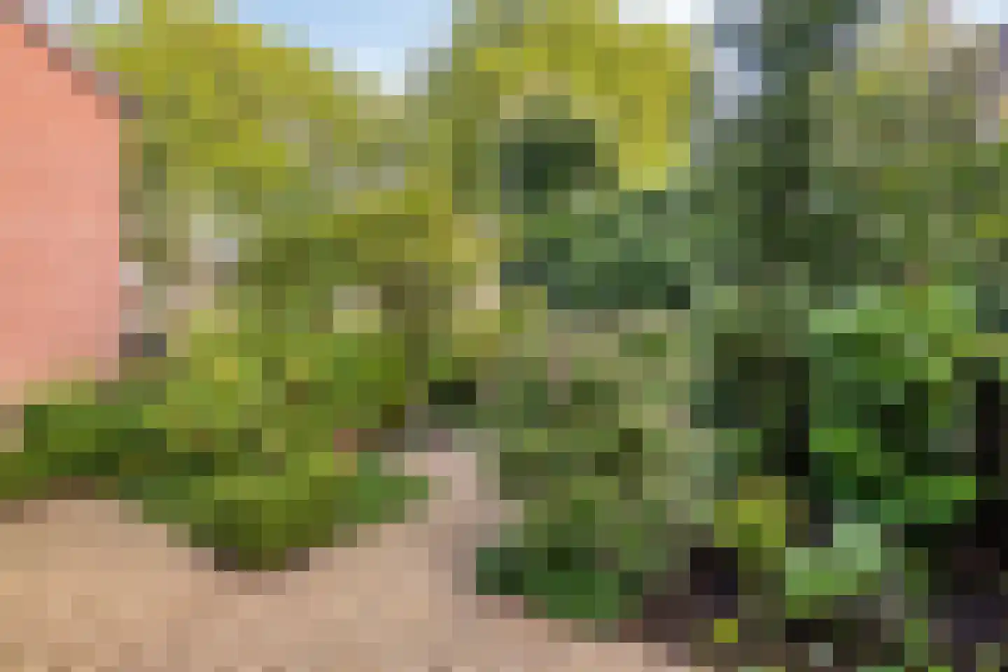Rochussenlaan 13 Etten-Leur thumbnail 50