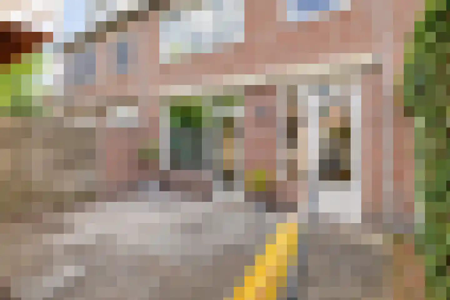 Rochussenlaan 13 Etten-Leur thumbnail 65