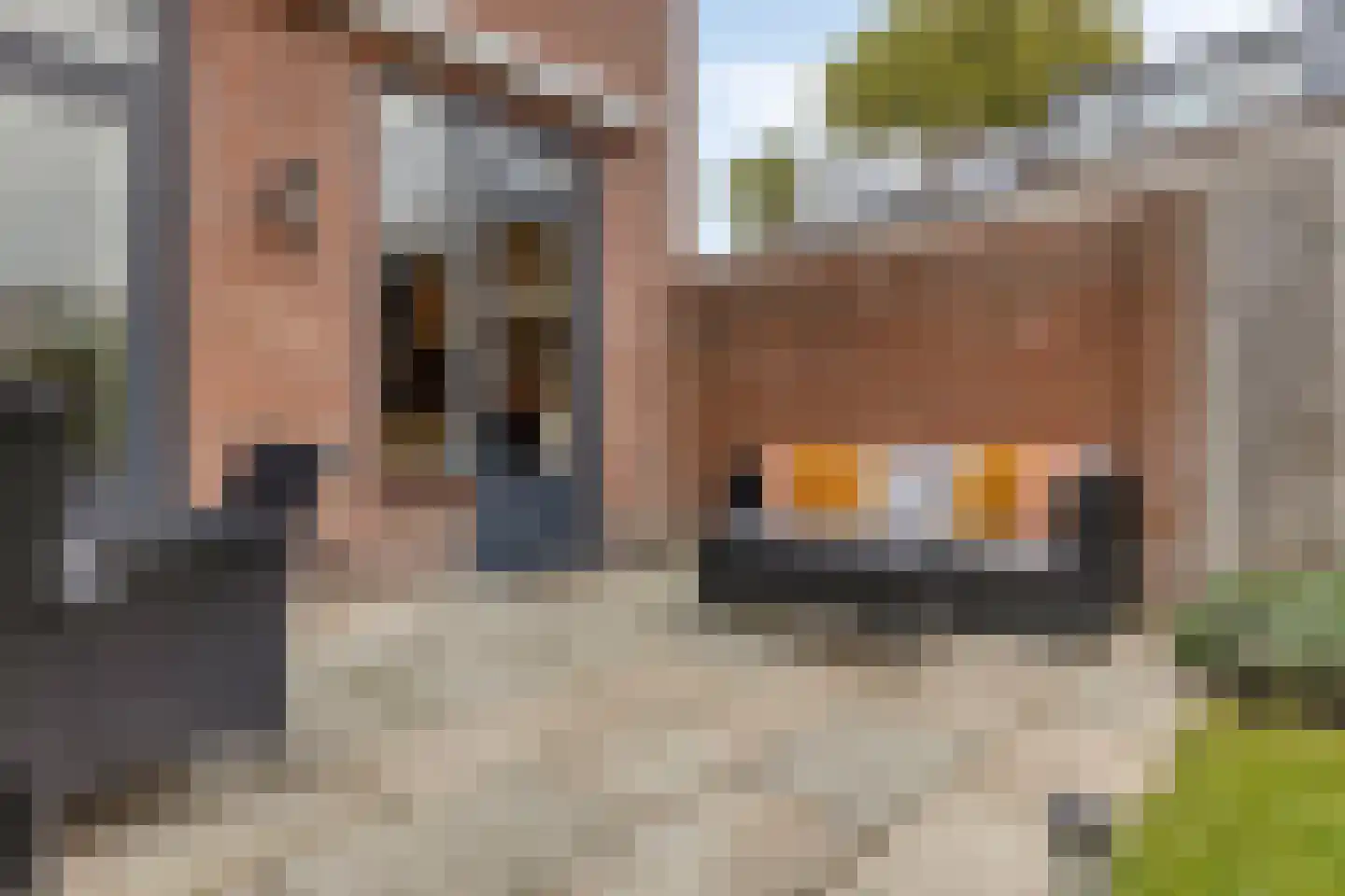 Rochussenlaan 25 Etten-Leur thumbnail 35