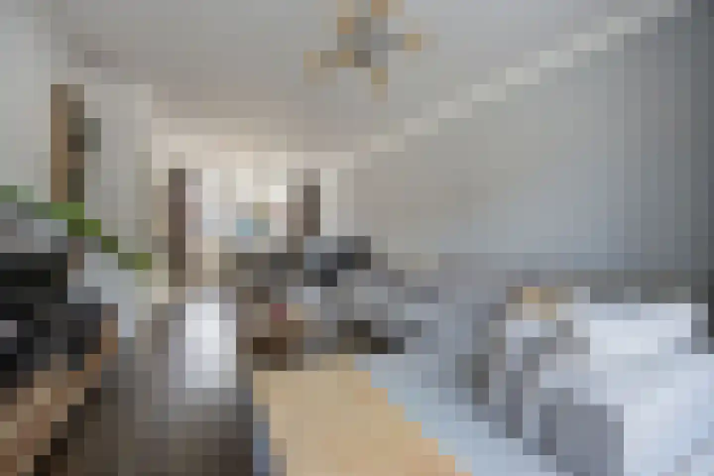 Rochussenlaan 39 Etten-Leur thumbnail 12