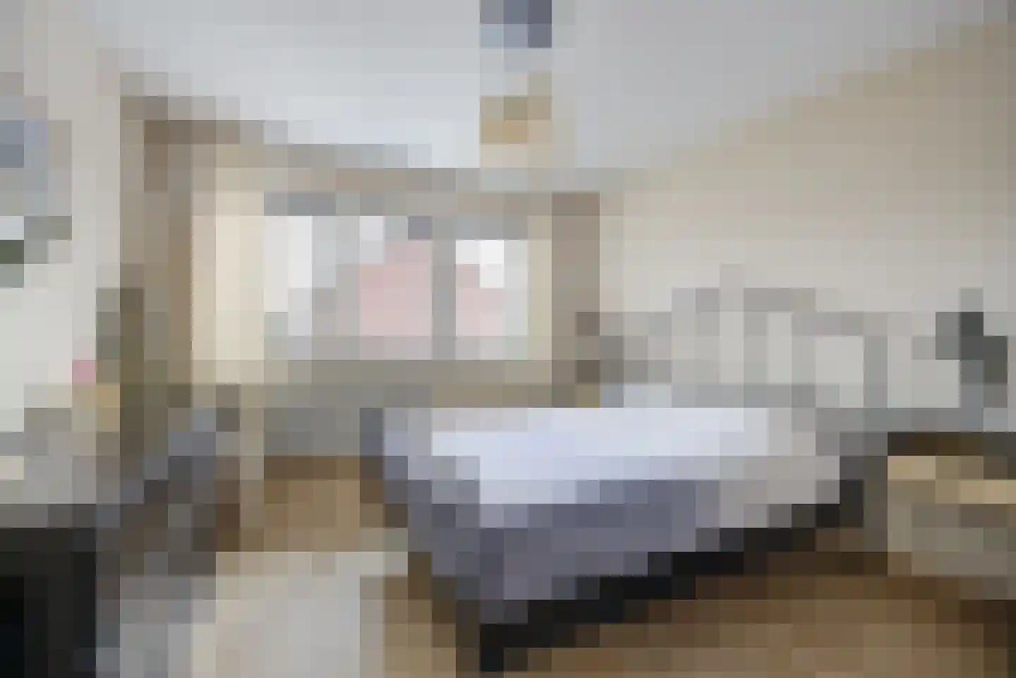 Rochussenlaan 39 Etten-Leur thumbnail 23