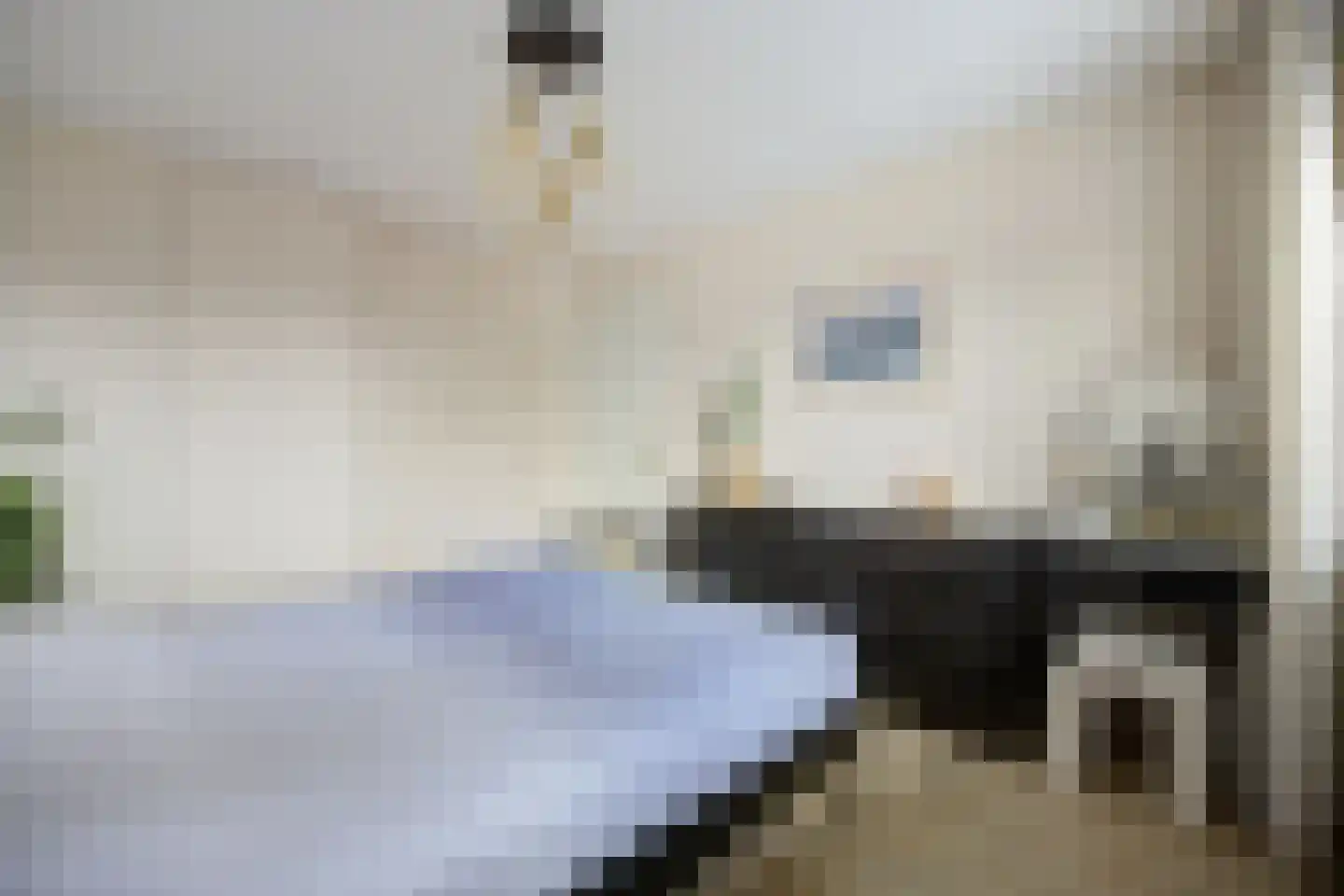 Rochussenlaan 39 Etten-Leur thumbnail 24