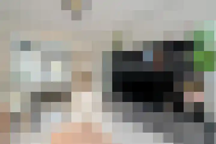 Rochussenstraat 10 3 Amsterdam thumbnail 7