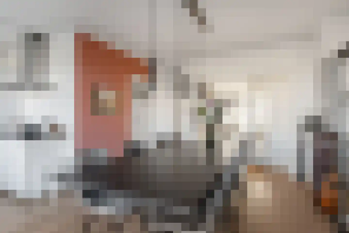 Rochussenstraat 101 A Rotterdam thumbnail 11