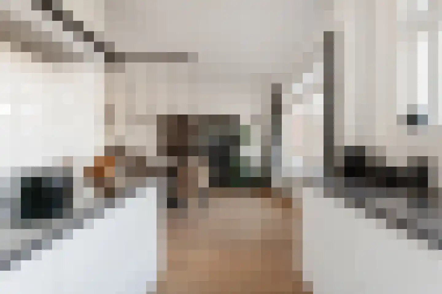 Rochussenstraat 101 A Rotterdam thumbnail 12