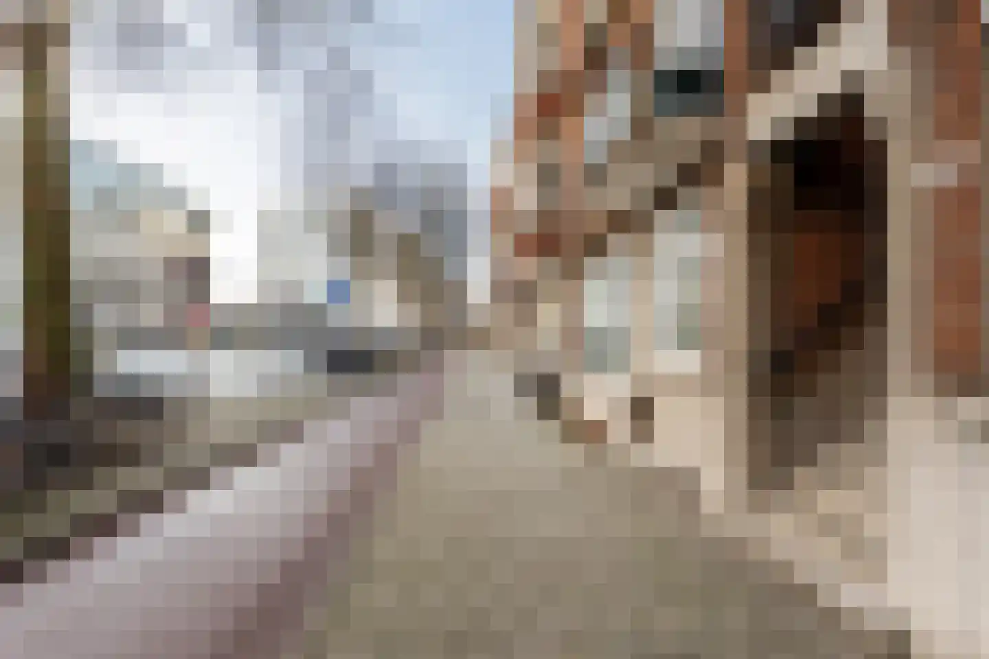 Rochussenstraat 101 A Rotterdam thumbnail 40