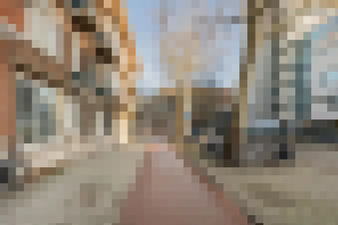 Rochussenstraat 101 A Rotterdam thumbnail 41