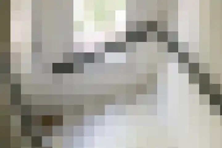 Rochussenstraat 11 1 Amsterdam thumbnail 41