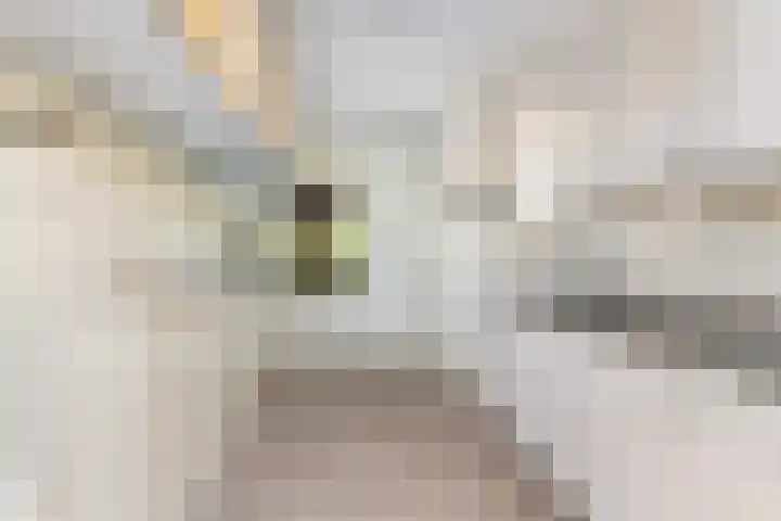 Rochussenstraat 133 D Rotterdam thumbnail 11
