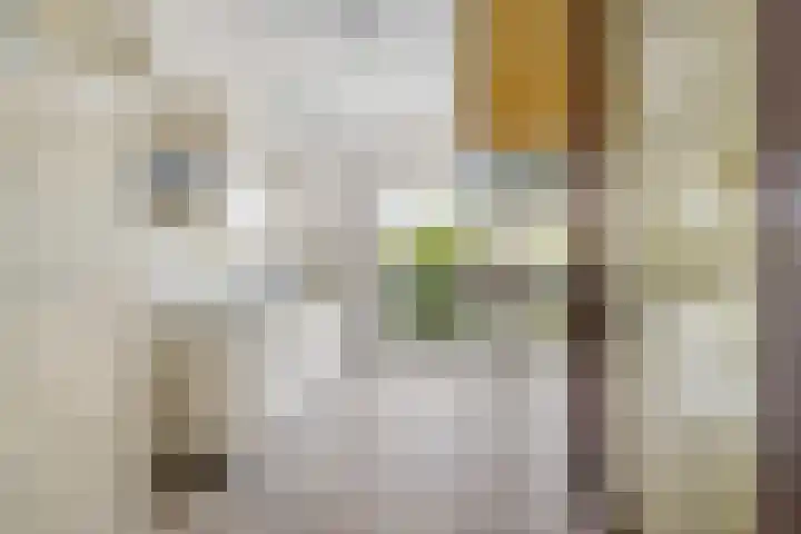 Rochussenstraat 133 D Rotterdam thumbnail 12