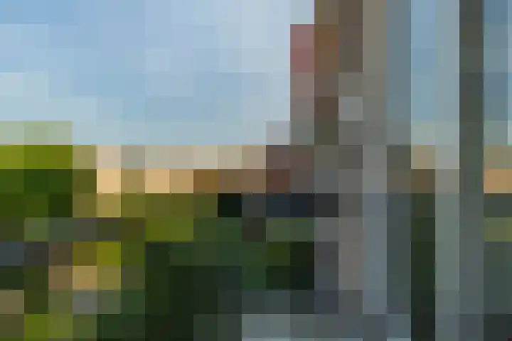 Rochussenstraat 133 D Rotterdam thumbnail 14