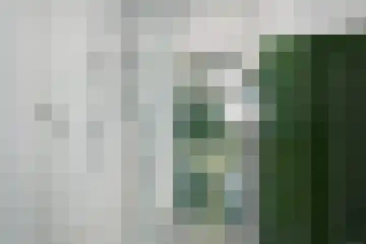 Rochussenstraat 133 D Rotterdam thumbnail 24