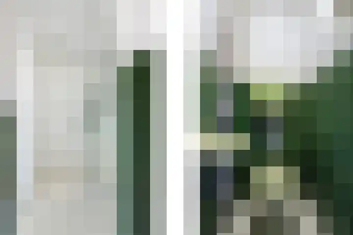 Rochussenstraat 133 D Rotterdam thumbnail 25