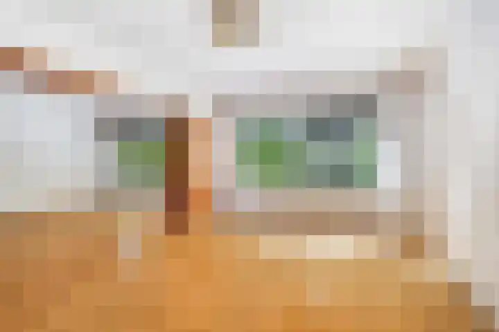 Rochussenstraat 133 D Rotterdam thumbnail 8