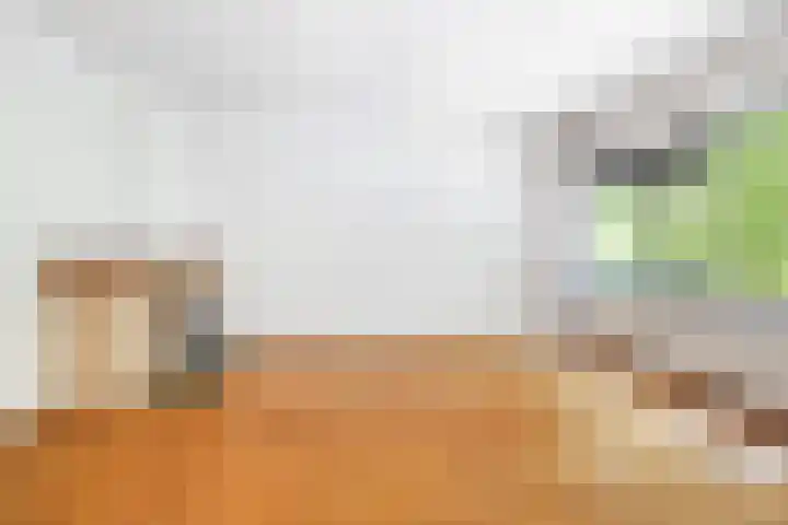 Rochussenstraat 133 D Rotterdam thumbnail 9