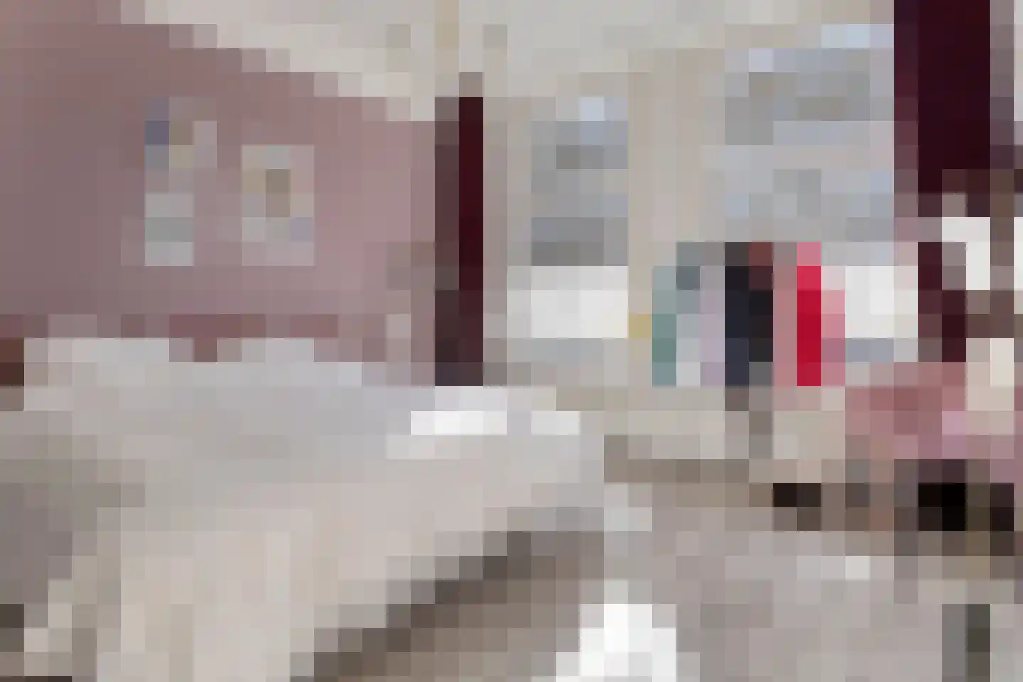 Rochussenstraat 193 B 01 Rotterdam thumbnail 22