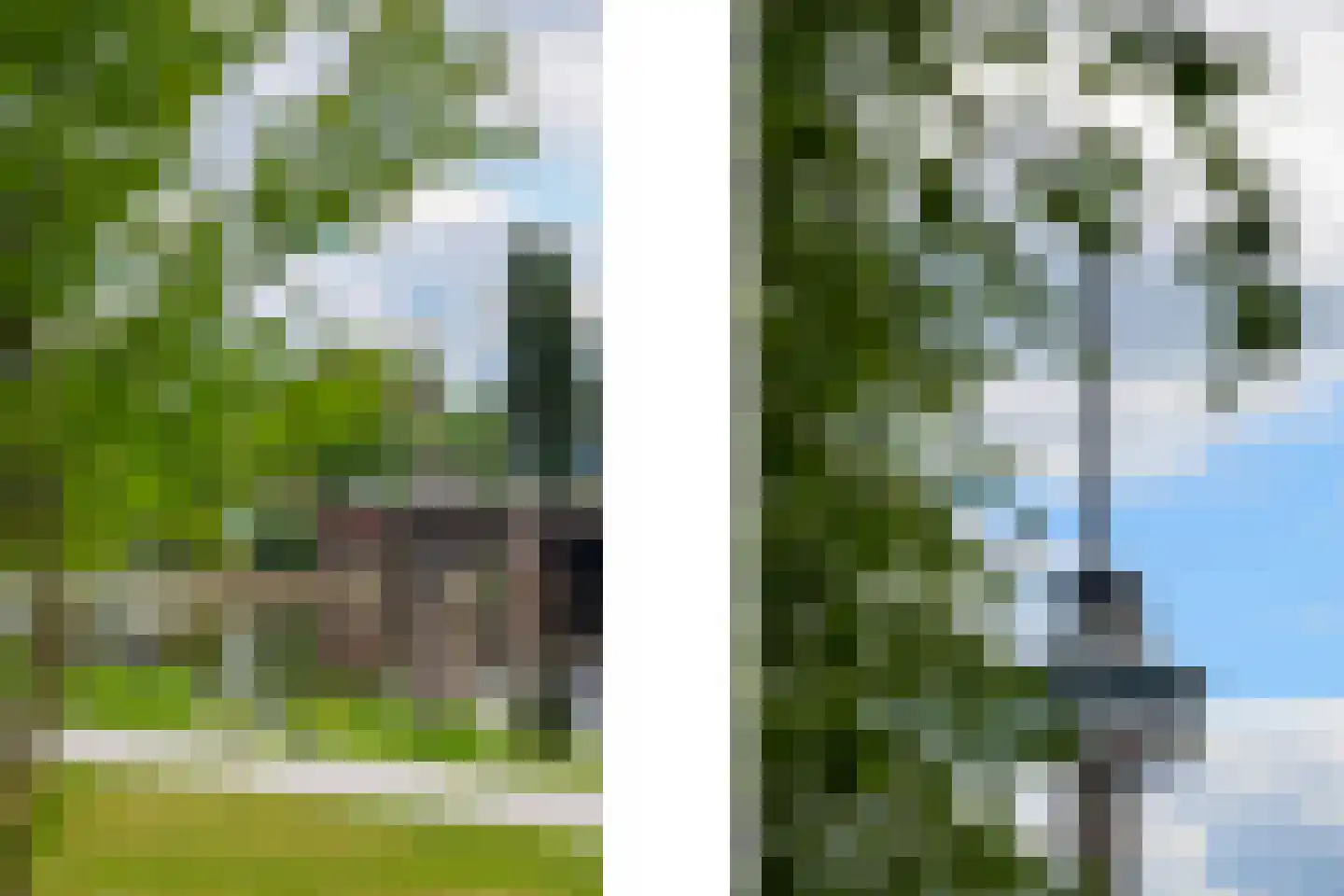 Rochussenstraat 197 B 01 Rotterdam thumbnail 35