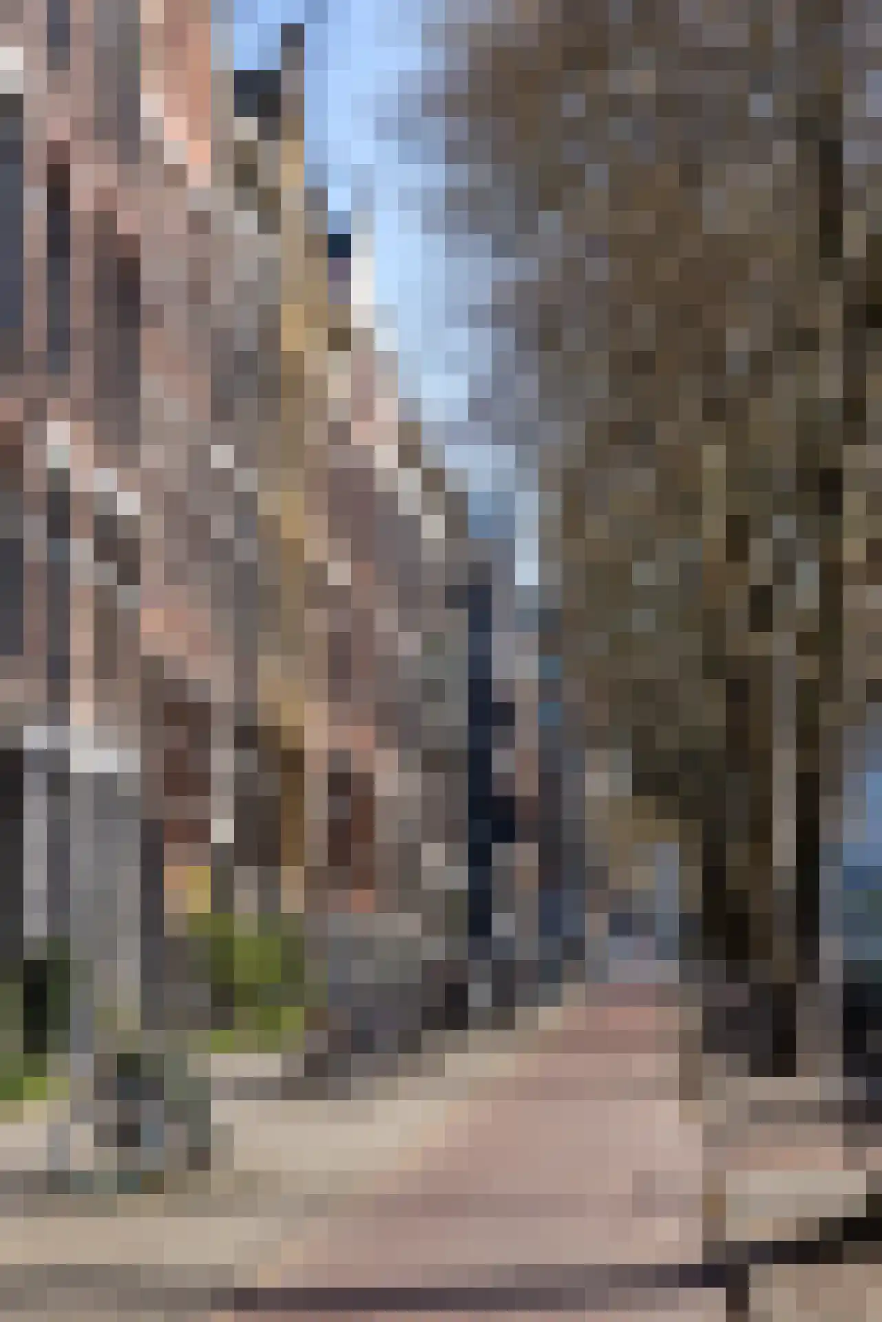 Rochussenstraat 215 B Rotterdam thumbnail 69