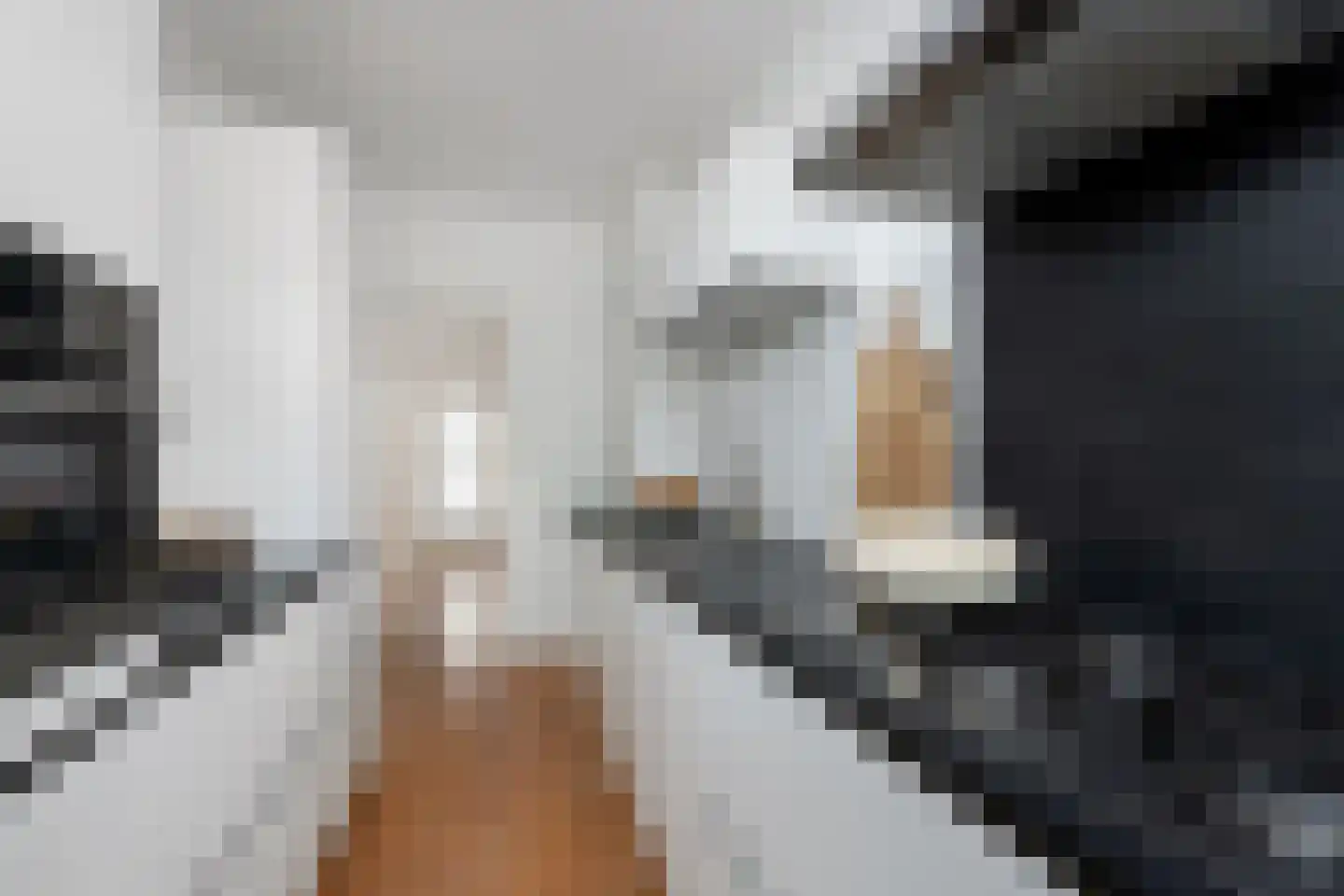 Rochussenstraat 33 B Rotterdam thumbnail 12