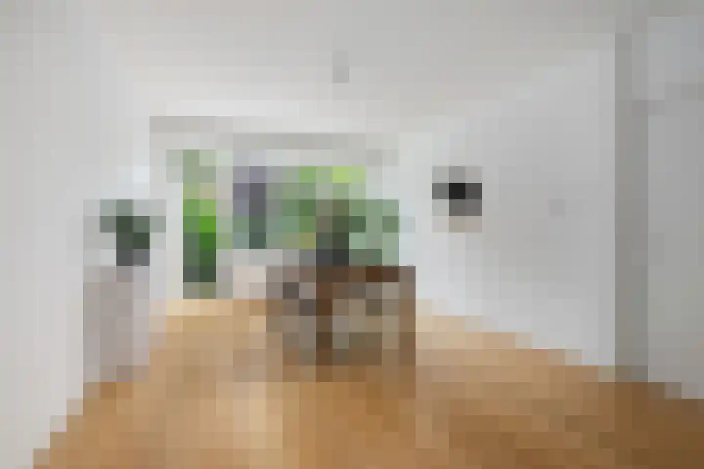 Rochussenstraat 33 B Rotterdam thumbnail 9