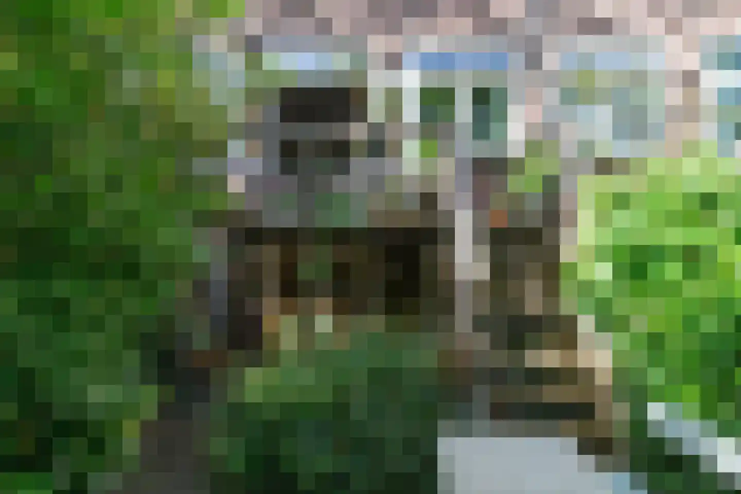 Rochussenstraat 389 A 03 Rotterdam thumbnail 16
