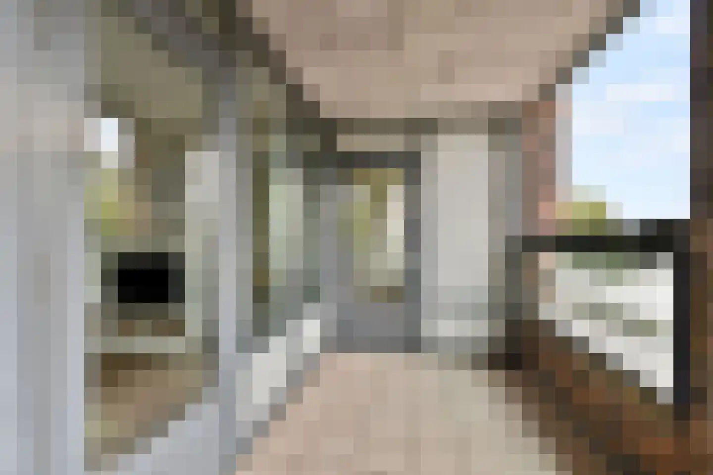 Rochussenstraat 409 Rotterdam thumbnail 23