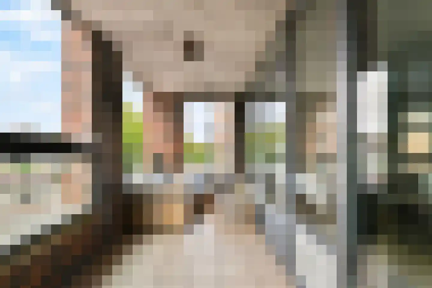 Rochussenstraat 409 Rotterdam thumbnail 4