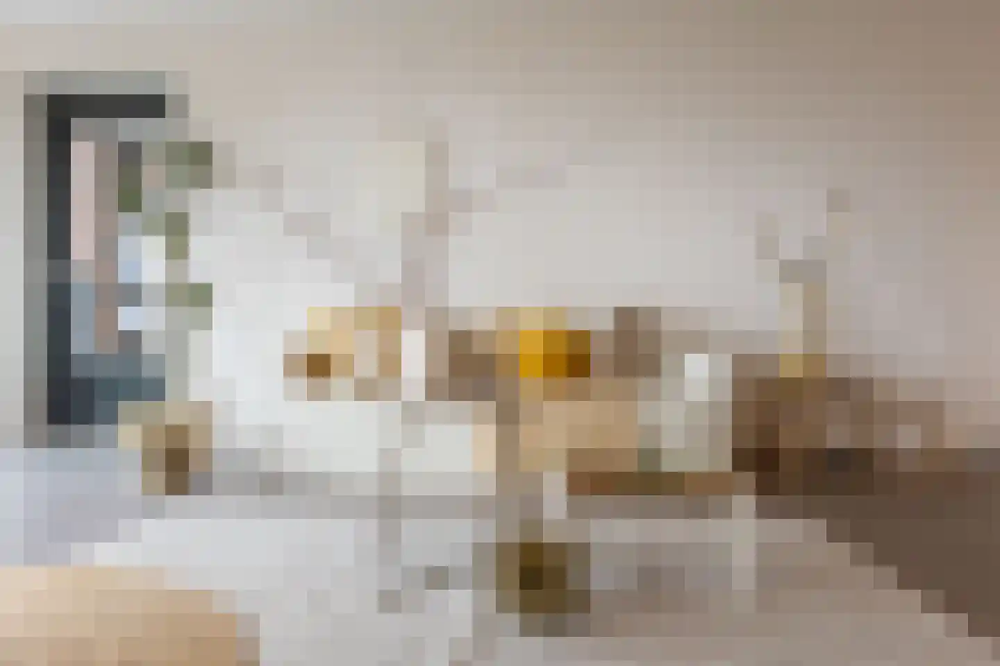 Rochussenstraat 437 Rotterdam thumbnail 10