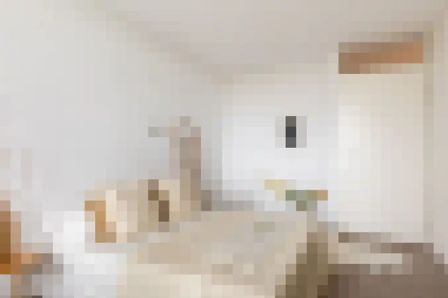 Rochussenstraat 437 Rotterdam thumbnail 5