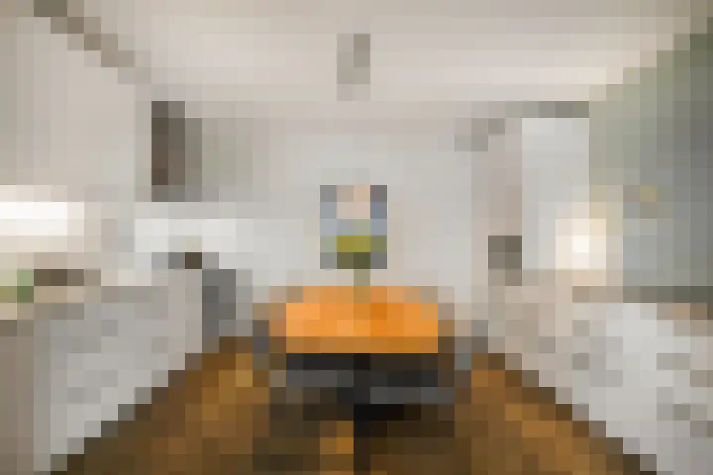 Rochussenstraat 441 Rotterdam thumbnail 14