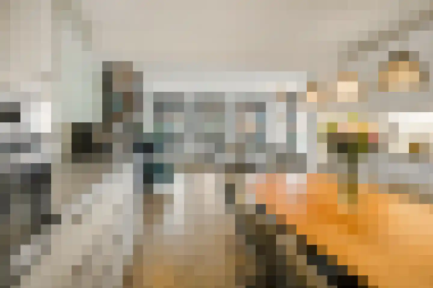 Rochussenstraat 441 Rotterdam thumbnail 15