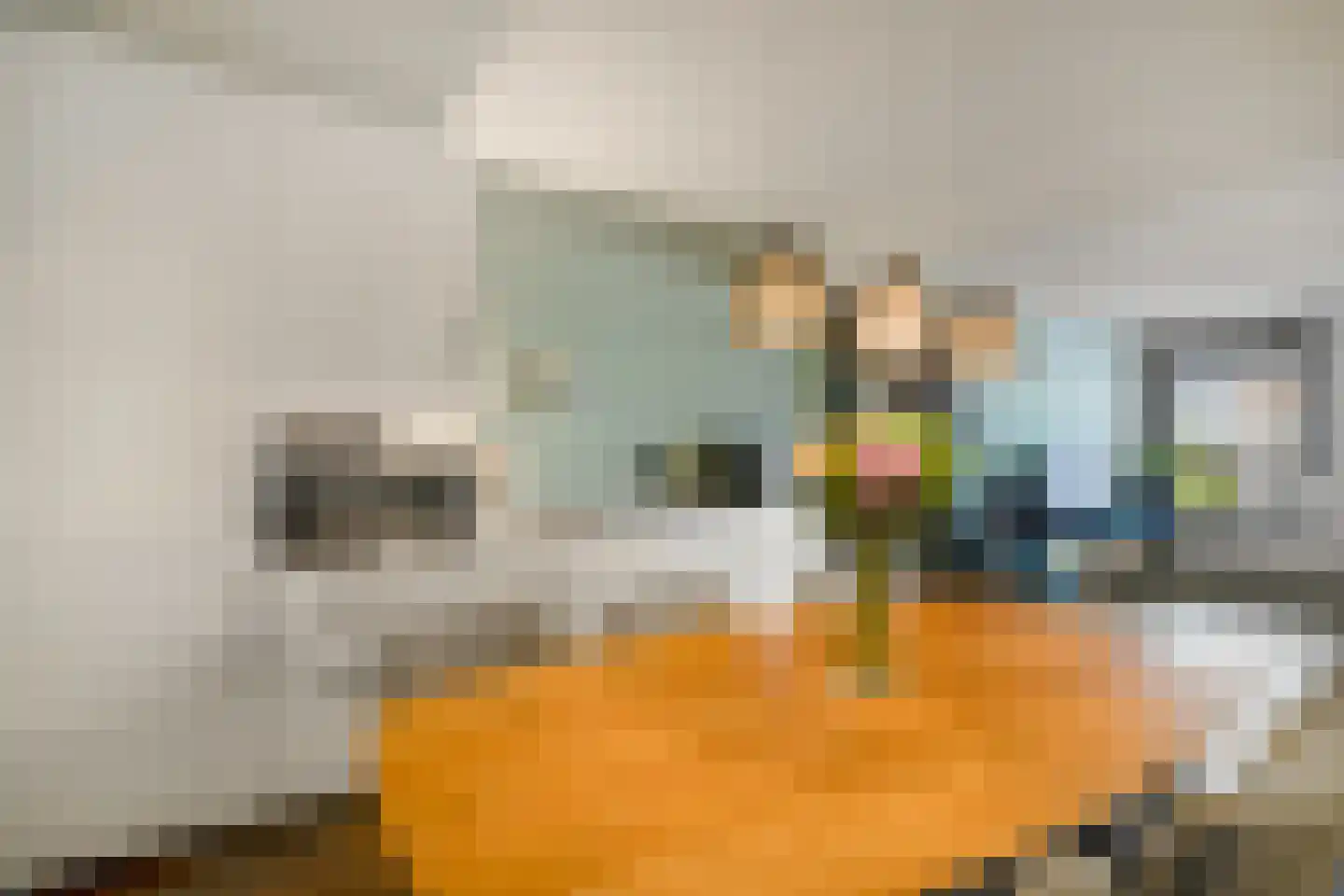 Rochussenstraat 441 Rotterdam thumbnail 17