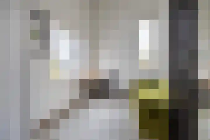 Rochussenstraat 5 Breda thumbnail 66