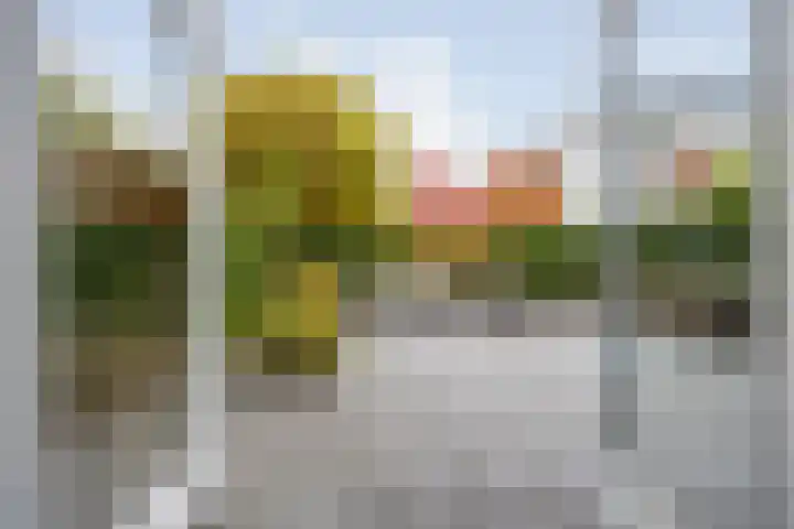 Rochussenstraat 5 Breda thumbnail 68