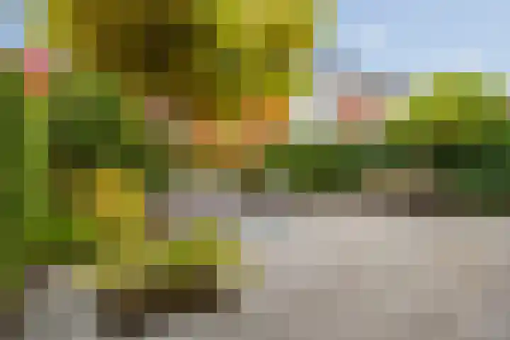 Rochussenstraat 5 Breda thumbnail 69