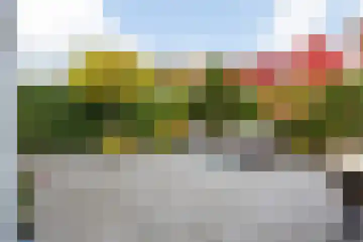Rochussenstraat 5 Breda thumbnail 74