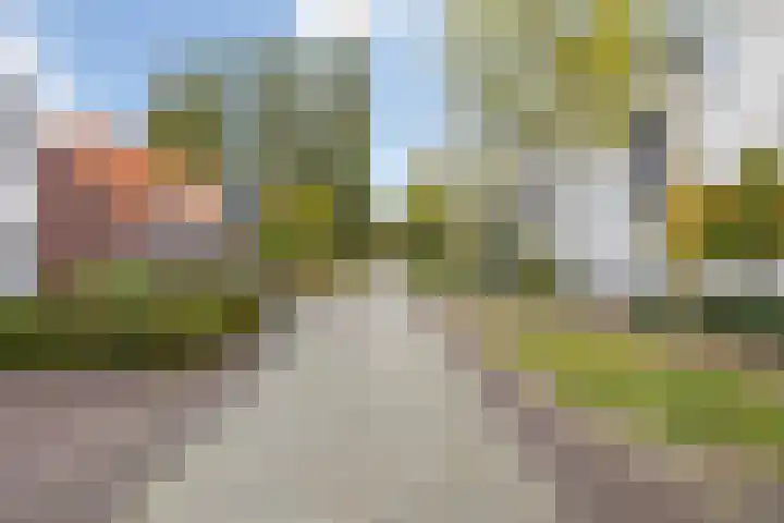 Rochussenstraat 5 Breda thumbnail 9