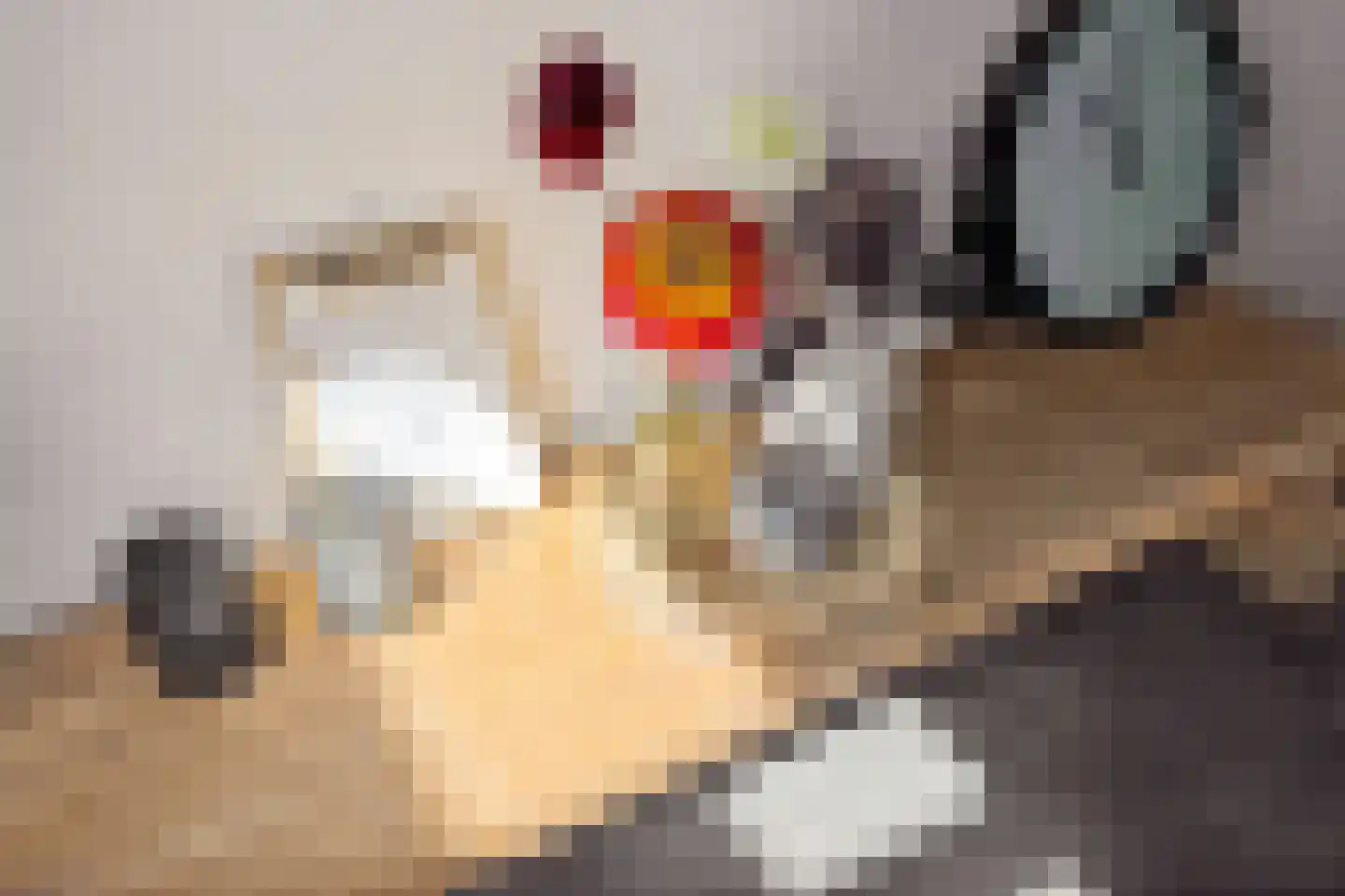 Rochussenware 10 Zwolle thumbnail 21