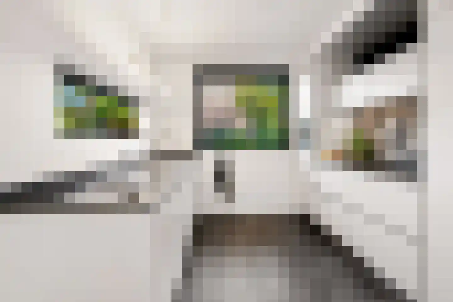 Rochussenware 10 Zwolle thumbnail 23