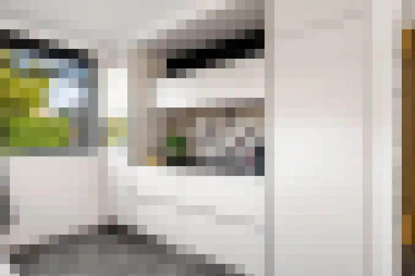 Rochussenware 10 Zwolle thumbnail 24