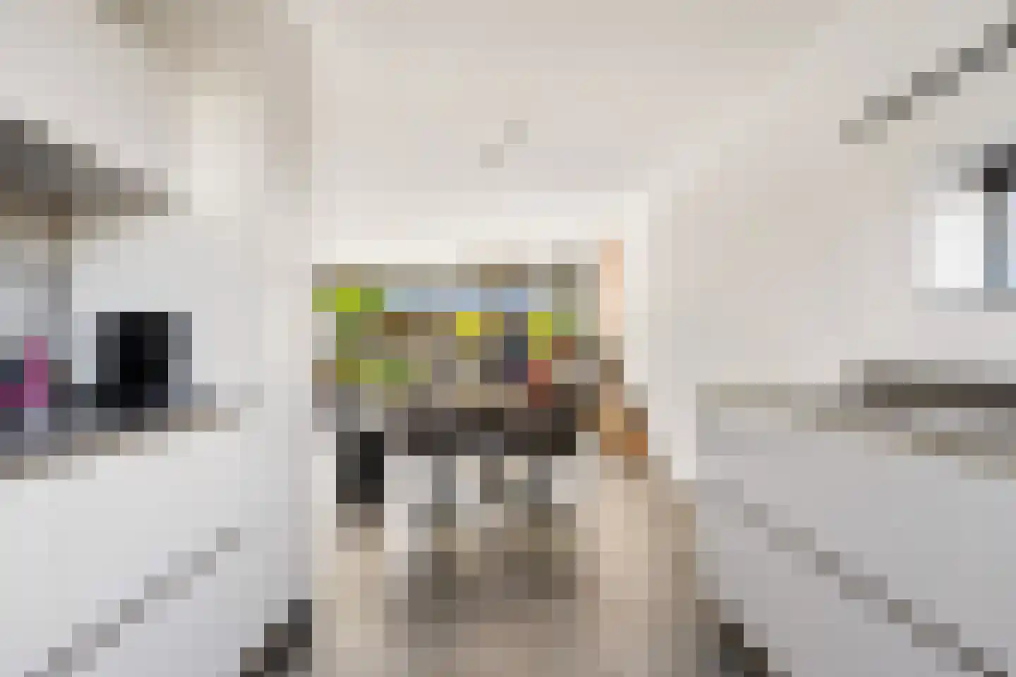 Rochussenware 10 Zwolle thumbnail 26