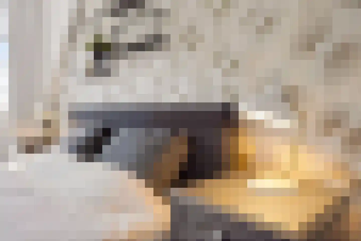 Rochussenware 10 Zwolle thumbnail 31