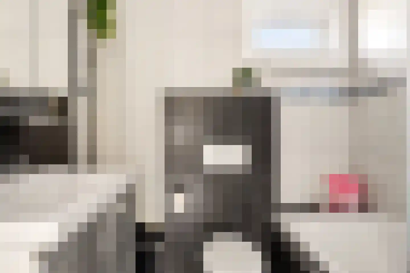 Rochussenware 10 Zwolle thumbnail 35